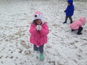 IMG 0935